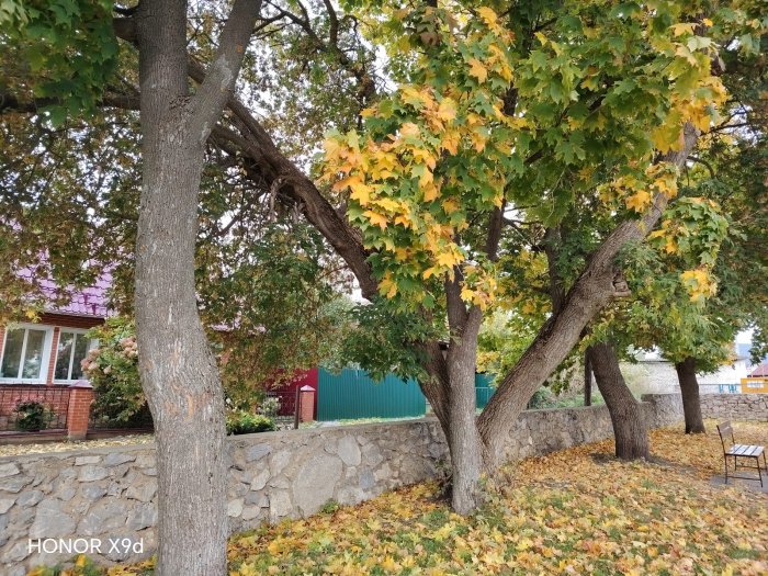 Прикосновение осени